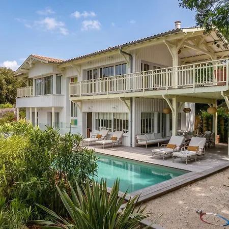 Maje - Archik - Sur *